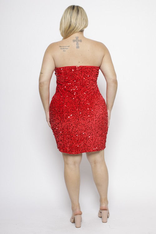 Velvet Sequin Mini Tube Dress