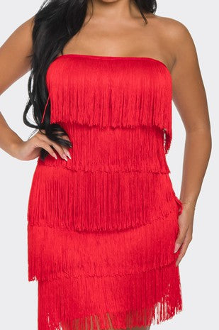 Tube Fringe Dress