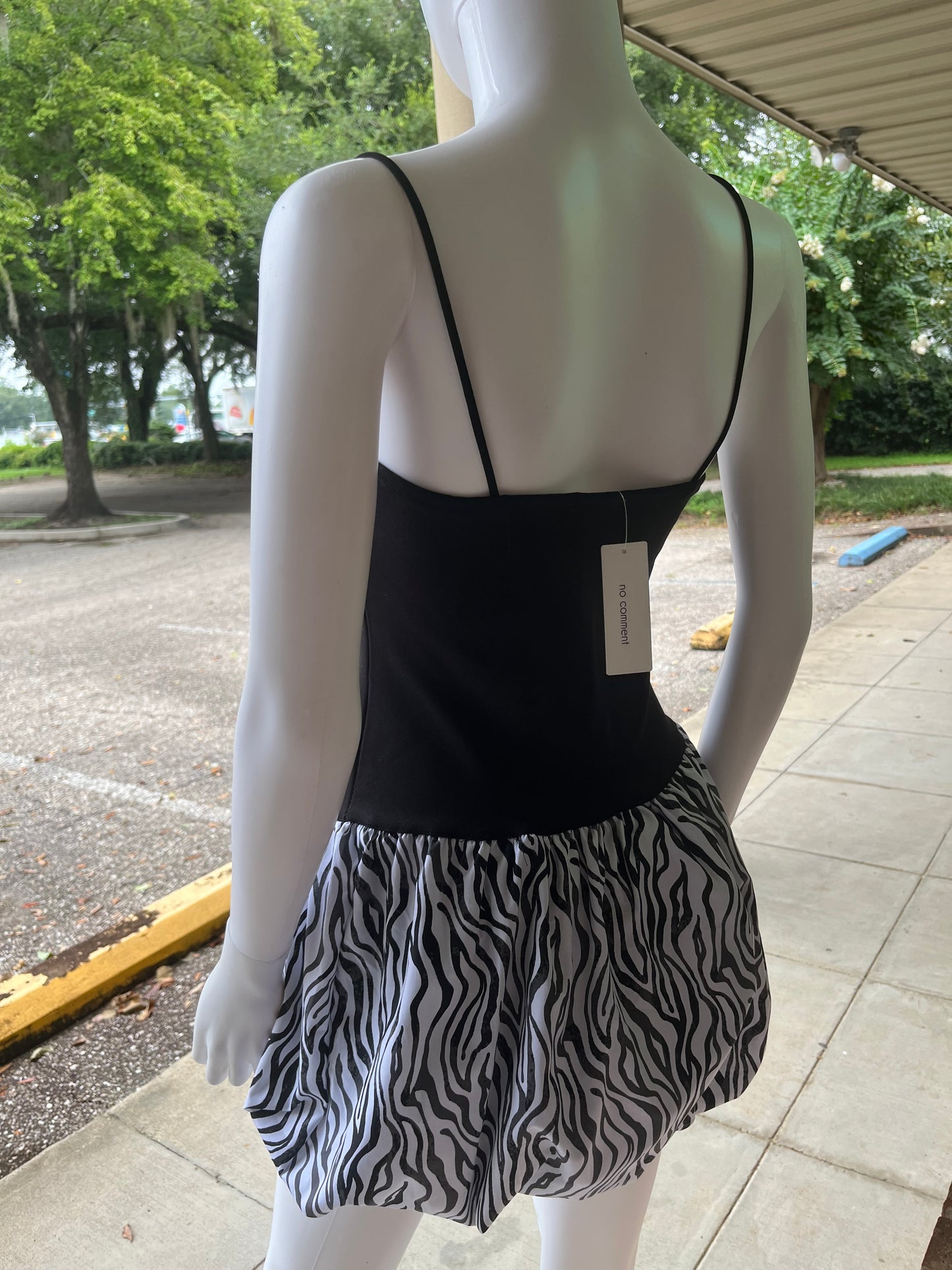 Zebra Bubble Mini Dress